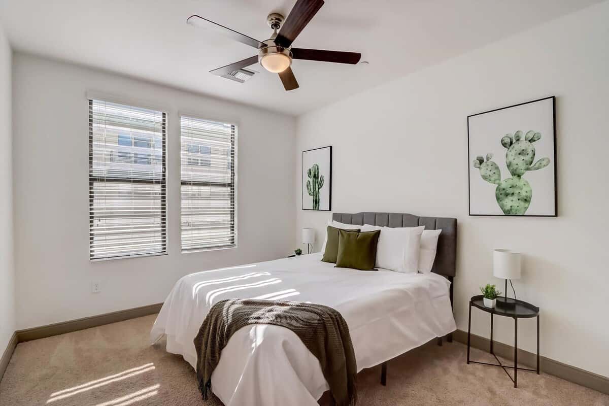 Contemporary CozySuites on the Town Lake waterfront! 13